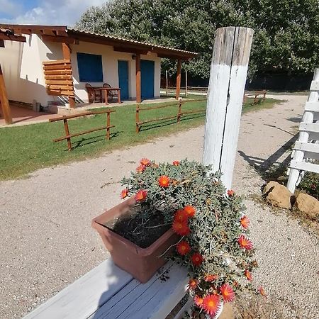 Agriturismo Oca Giuliva Lido dei Pini Buitenkant foto